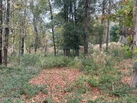 lot31 Button Bush, Hampstead, NC 28443 photo 3