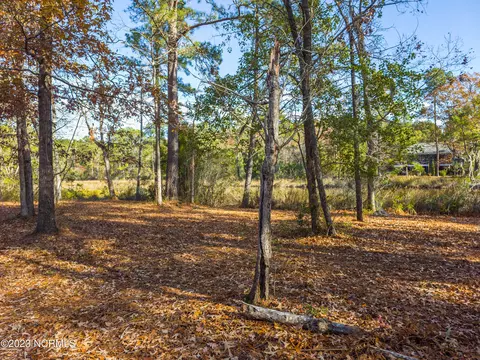 65 Tarpon Pointe Rd, Bath, NC 27808 photo 12