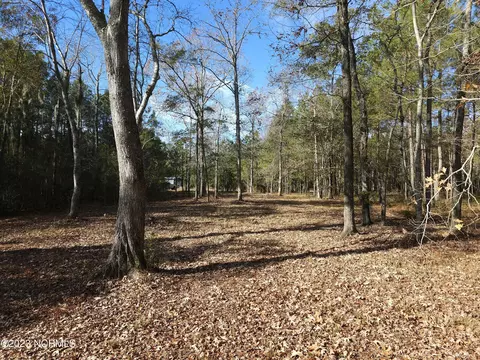65 Tarpon Pointe Rd, Bath, NC 27808 photo 13