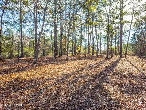 65 Tarpon Pointe Rd, Bath, NC 27808 photo 5