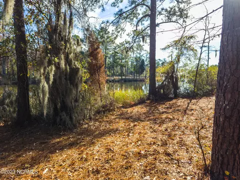 65 Tarpon Pointe Rd, Bath, NC 27808 photo 7