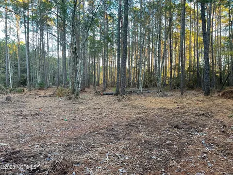 530 Firetower Rd, Beaufort, NC 28516