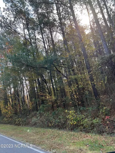 0 Herring Rd, Harrells, NC 28444 photo 6