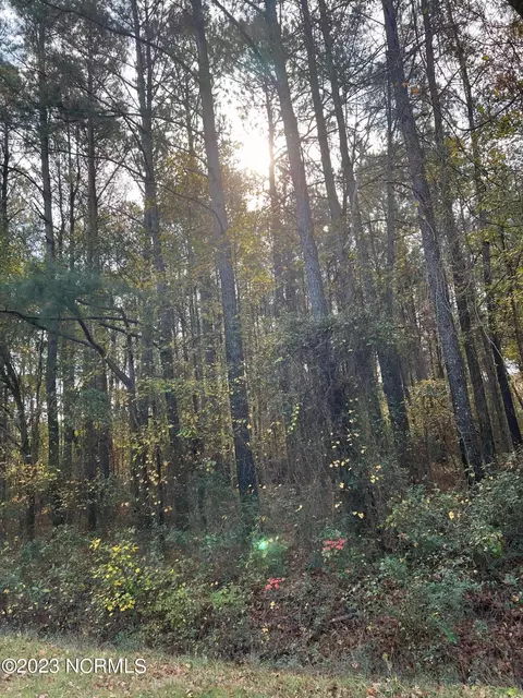 0 Herring Rd, Harrells, NC 28444 photo 7