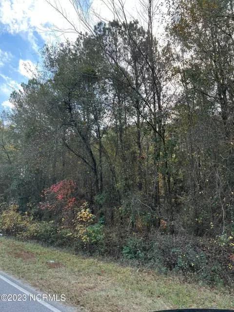 0 Herring Rd, Harrells, NC 28444