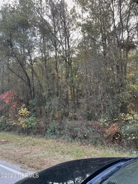 0 Herring Rd, Harrells, NC 28444 photo 3