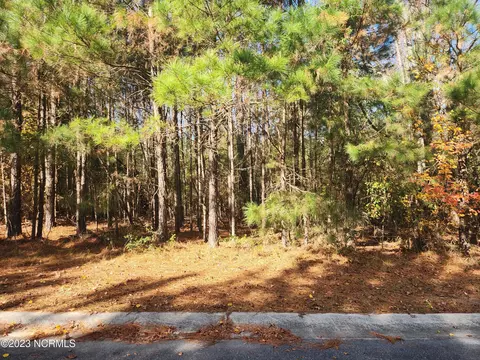 410 Timberwind Ln SE, Leland, NC 28451