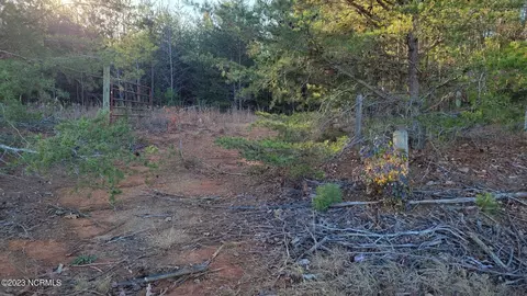 0 Haw Branch Rd, Goldston, NC 27252