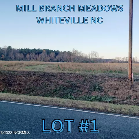 1704 Harrelsonville Rd, Whiteville, NC 28472