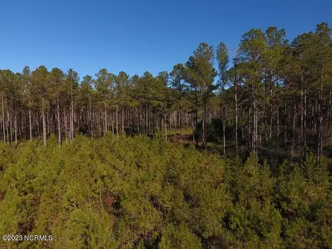 0 Egypt Rd NW, Ash, NC 28420 photo 13