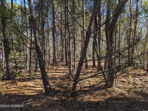 118 Englewood Dr, Hubert, NC 28539