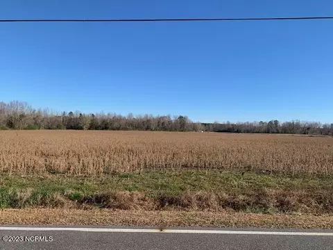 3390 Sidney-cherry Grove Road, Clarendon, NC 28432