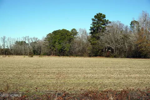 125 Gladys St, Dover, NC 28526 photo 4