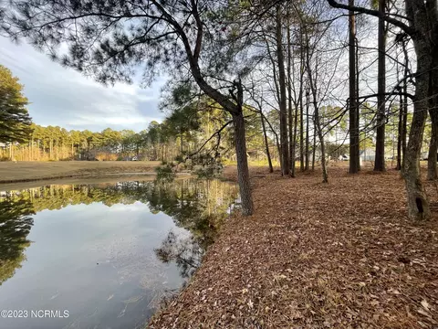 186 Santee Dr, Chocowinity, NC 27817 photo 4