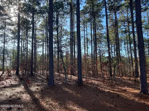 17 Chestertown Dr, Pinehurst, NC 28374 photo 7