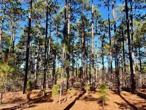 17 Chestertown Dr, Pinehurst, NC 28374 photo 8