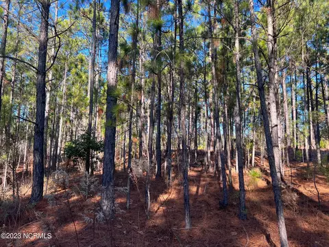 17 Chestertown Dr, Pinehurst, NC 28374 photo 6