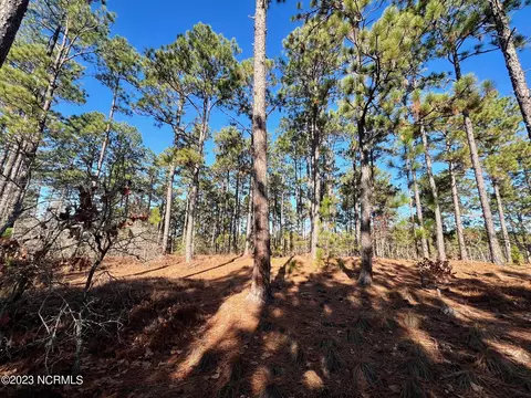 17 Chestertown Dr, Pinehurst, NC 28374 photo 5