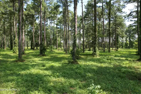 206 Frying Pan Loop Rd, Oriental, NC 28571