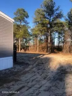 120 Emmas Ct, Hamlet, NC 28345 photo 3