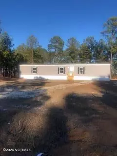 120 Emmas Ct, Hamlet, NC 28345 photo 2