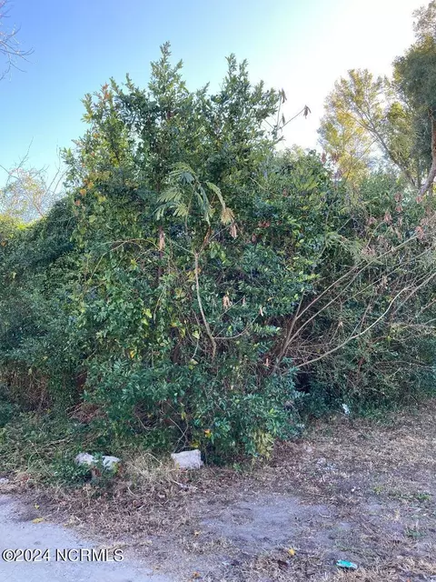 914 Starkeys Aly, Wilmington, NC 28401