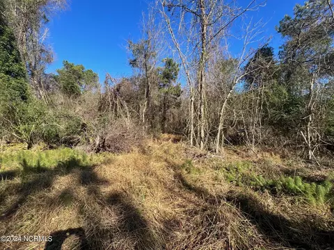 0 Progress Drive Ext, Burgaw, NC 28425
