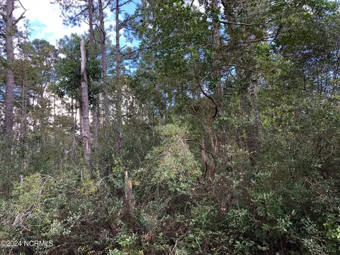 737475 Robin Rd, Boiling Spring Lakes, NC 28461