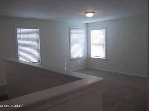201 Balustrade Way, Hampstead, NC 28443 photo 31