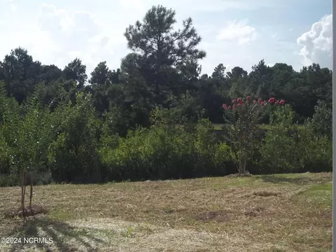 201 Balustrade Way, Hampstead, NC 28443 photo 5