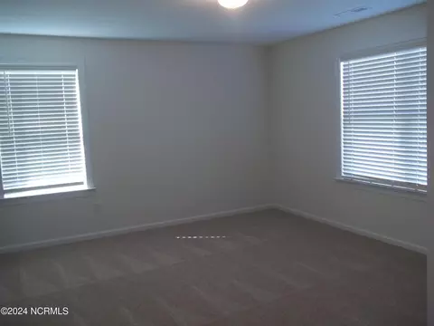 201 Balustrade Way, Hampstead, NC 28443 photo 34