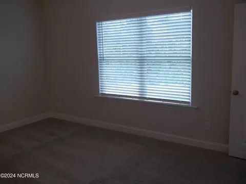 202 Balustrade Way, Hampstead, NC 28443 photo 18