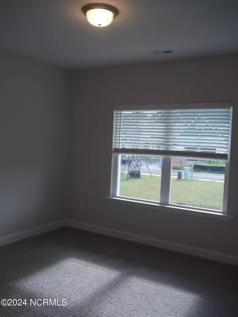 202 Balustrade Way, Hampstead, NC 28443 photo 23