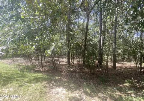 21 Racoon Run Rd, Wagram, NC 28396