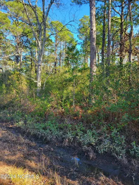 1550 Beech Rd, Southport, NC 28461