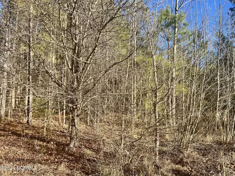 0 Rachael Way, Como, NC 27818 photo 3
