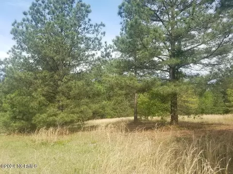425 Broken Ridge Trail Trl, West End, NC 27376
