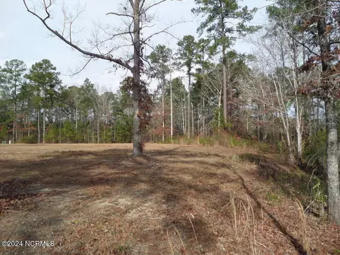 152 Marsh Run, Oriental, NC 28571 photo 10