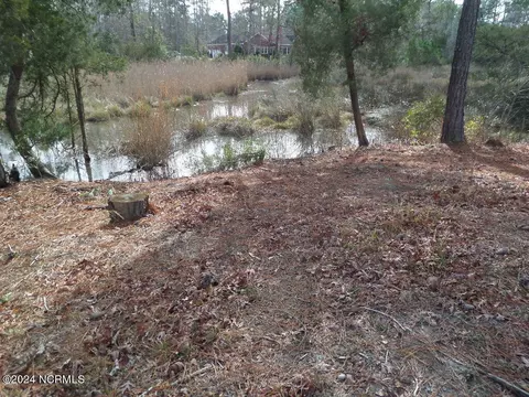 152 Marsh Run, Oriental, NC 28571 photo 4