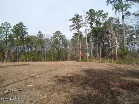 152 Marsh Run, Oriental, NC 28571 photo 9