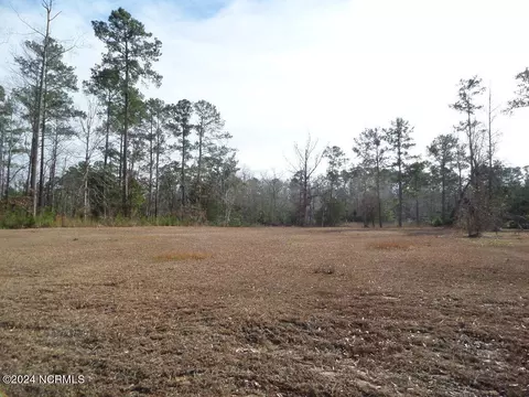 152 Marsh Run, Oriental, NC 28571 photo 8