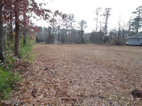 152 Marsh Run, Oriental, NC 28571 photo 2