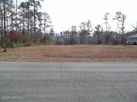 152 Marsh Run, Oriental, NC 28571 photo 15
