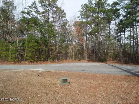 152 Marsh Run, Oriental, NC 28571 photo 14