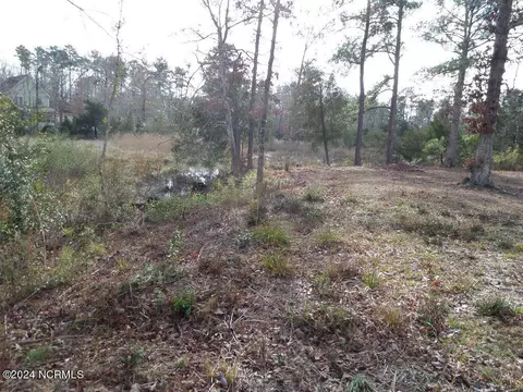 152 Marsh Run, Oriental, NC 28571 photo 13