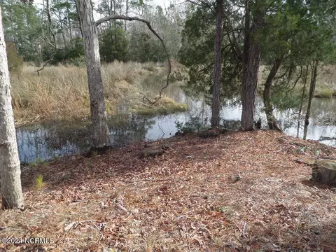 152 Marsh Run, Oriental, NC 28571 photo 12