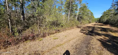 lot47 48 2nd Rd, Boiling Spring Lakes, NC 28461