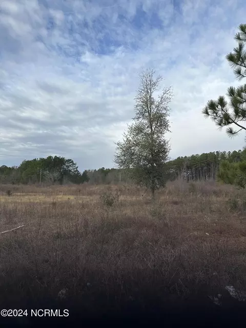 tbd Maggie Dr, Rockingham, NC 28379