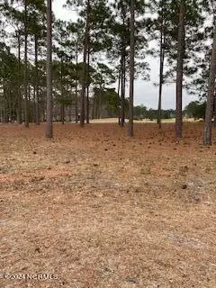 349 Laurel Valley Dr, Shallotte, NC 28470