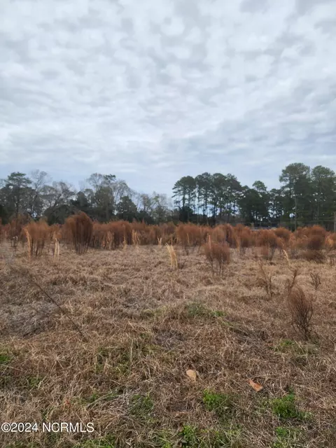 819 N Elm St, Chadbourn, NC 28431